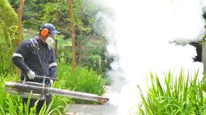 Best Pest Exclusion Services  in Legend Lake, WI